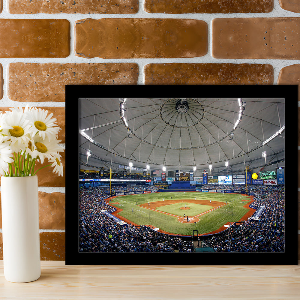 Tropicana Field in Florida, Stadium Canvas, Sport Art, Gift for him, Framed Art Print Wall Decor, Picture Framed