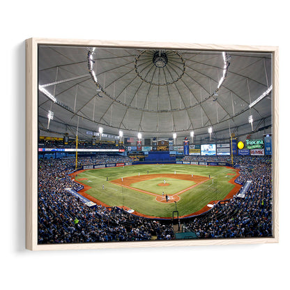 Tropicana Field in Florida, Stadium Canvas, Sport Art, Framed Canvas Print Wall Art, Floating Frame