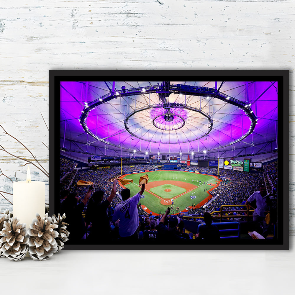 Tropicana Field in St Petersburg, Stadium Canvas, Sport Art, Framed Canvas Print Wall Art, Floating Frame