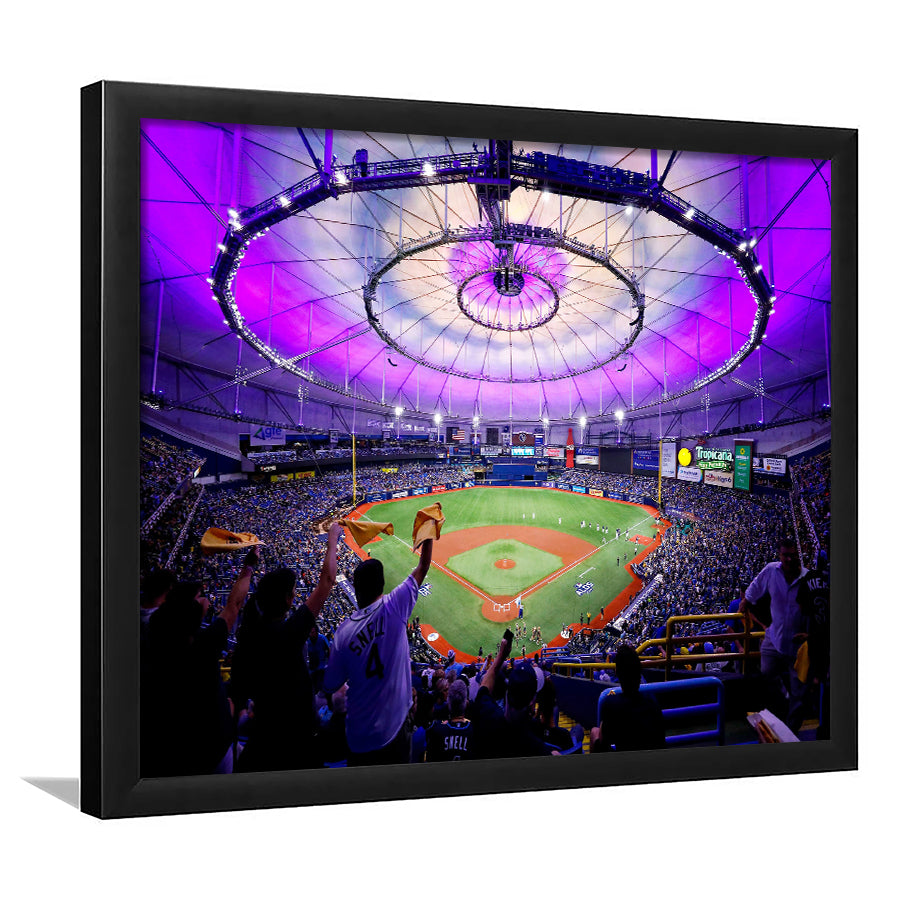 Tropicana Field in St Petersburg, Stadium Canvas, Sport Art, Gift for him, Framed Art Print Wall Decor, Picture Framed