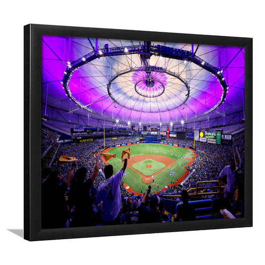 Tropicana Field in St Petersburg, Stadium Canvas, Sport Art, Gift for him, Framed Art Print Wall Decor, Picture Framed