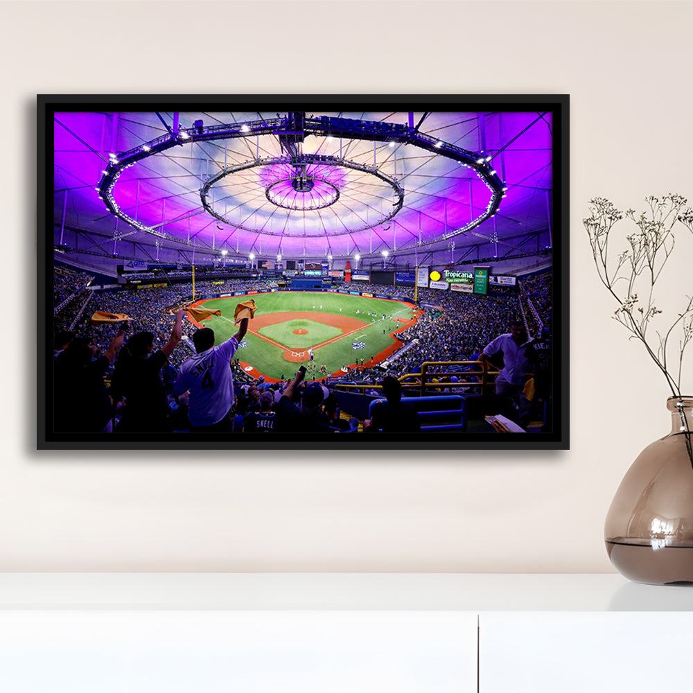Tropicana Field in St Petersburg, Stadium Canvas, Sport Art, Framed Canvas Print Wall Art, Floating Frame