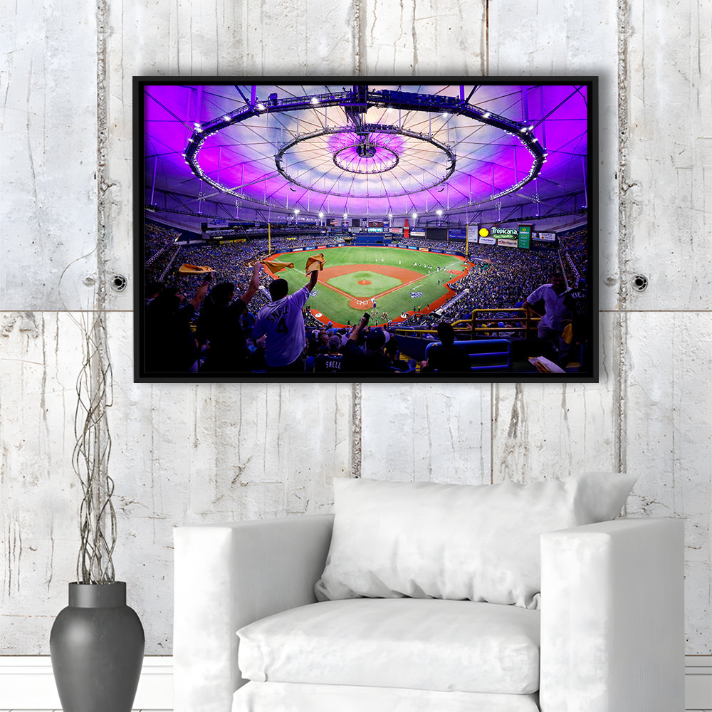 Tropicana Field in St Petersburg, Stadium Canvas, Sport Art, Framed Canvas Print Wall Art, Floating Frame