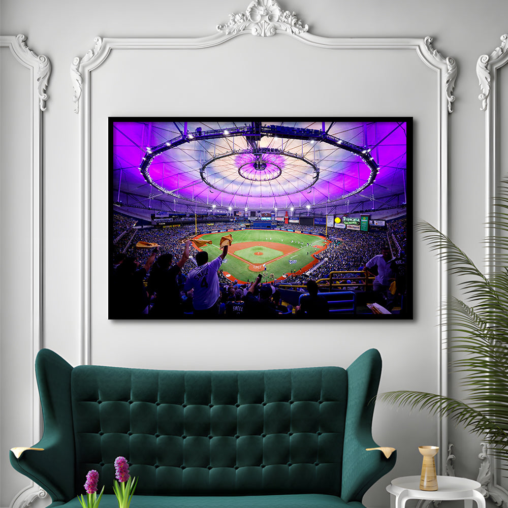 Tropicana Field in St Petersburg, Stadium Canvas, Sport Art, Gift for him, Framed Art Print Wall Decor, Picture Framed
