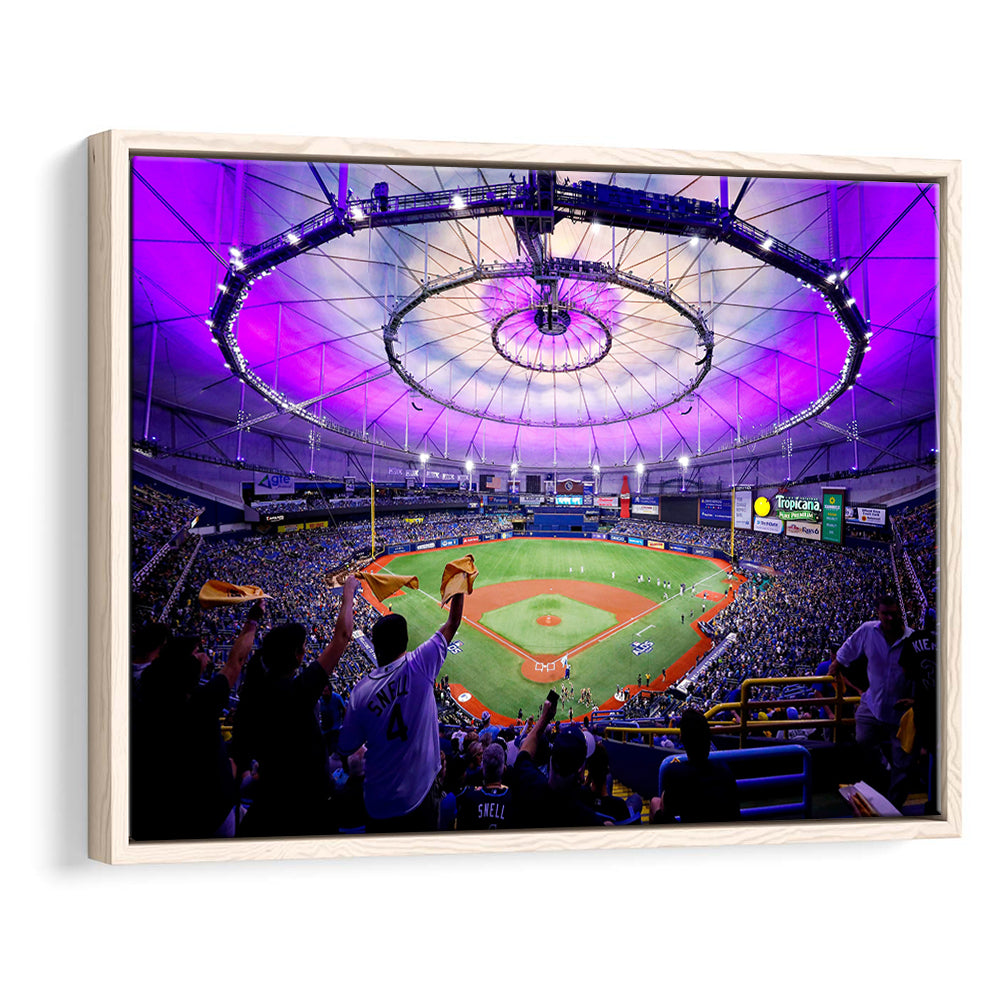 Tropicana Field in St Petersburg, Stadium Canvas, Sport Art, Framed Canvas Print Wall Art, Floating Frame