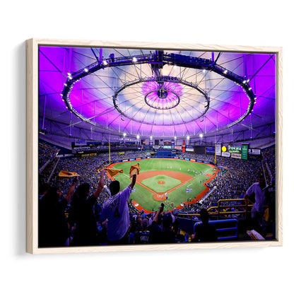 Tropicana Field in St Petersburg, Stadium Canvas, Sport Art, Framed Canvas Print Wall Art, Floating Frame