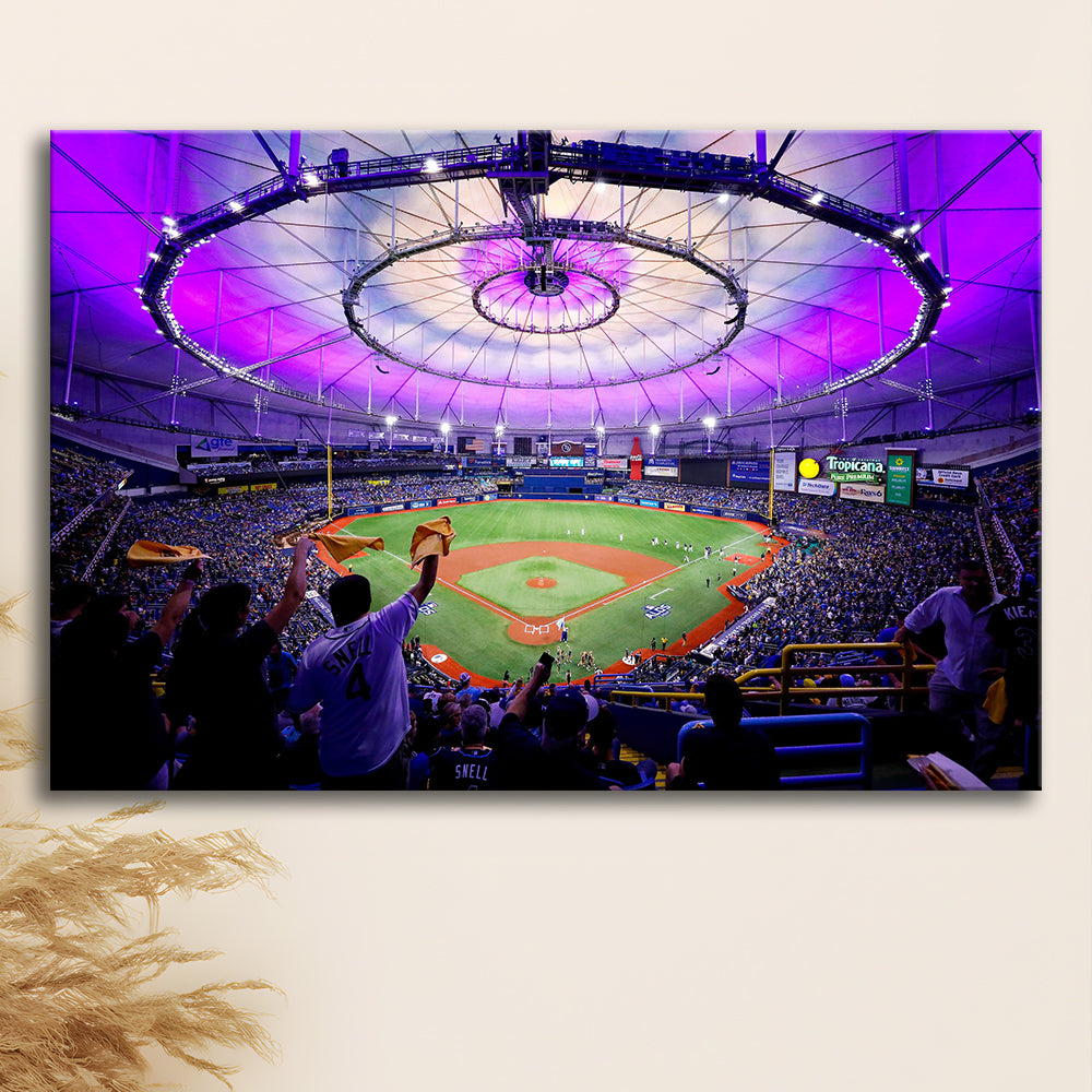 Tropicana Field in St Petersburg, Stadium Canvas, Sport Art, Gift for him, Man Cave Decor, Art Print, Canvas Print Wall Art