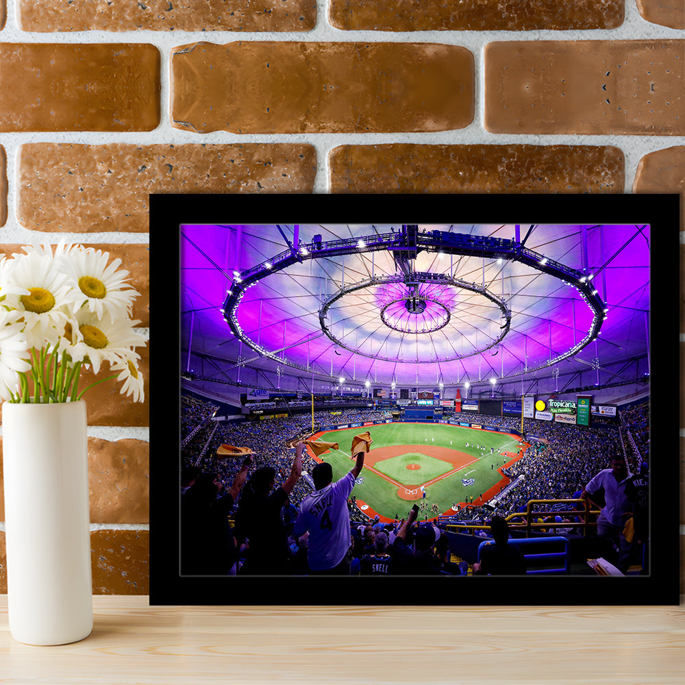 Tropicana Field in St Petersburg, Stadium Canvas, Sport Art, Gift for him, Framed Art Print Wall Decor, Picture Framed
