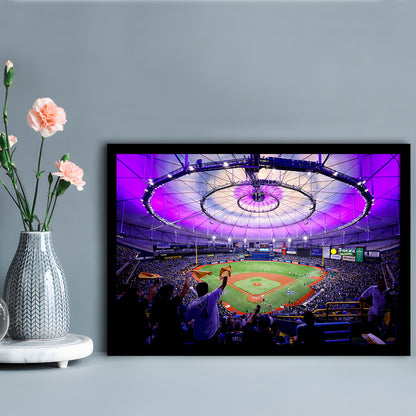 Tropicana Field in St Petersburg, Stadium Canvas, Sport Art, Gift for him, Framed Art Print Wall Decor, Picture Framed