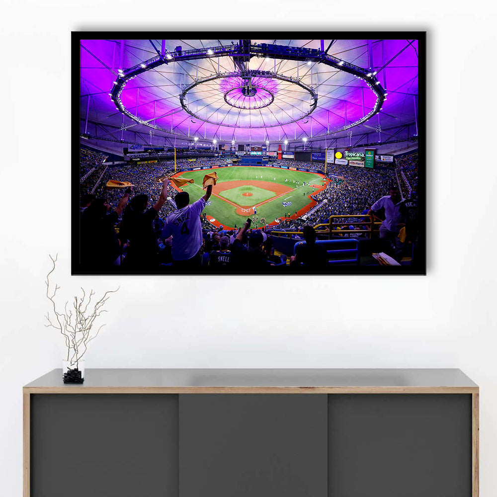 Tropicana Field in St Petersburg, Stadium Canvas, Sport Art, Gift for him, Framed Art Print Wall Decor, Picture Framed