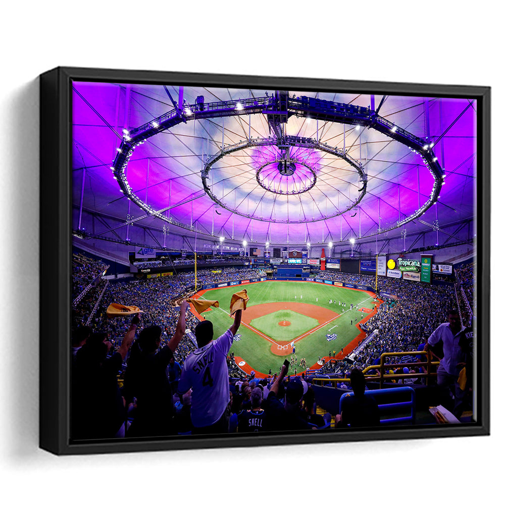 Tropicana Field in St Petersburg, Stadium Canvas, Sport Art, Framed Canvas Print Wall Art, Floating Frame