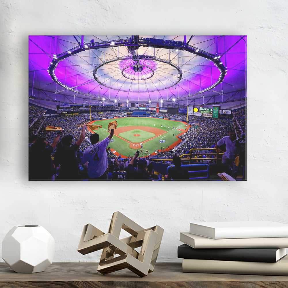 Tropicana Field in St Petersburg, Stadium Canvas, Sport Art, Gift for him, Man Cave Decor, Art Print, Canvas Print Wall Art