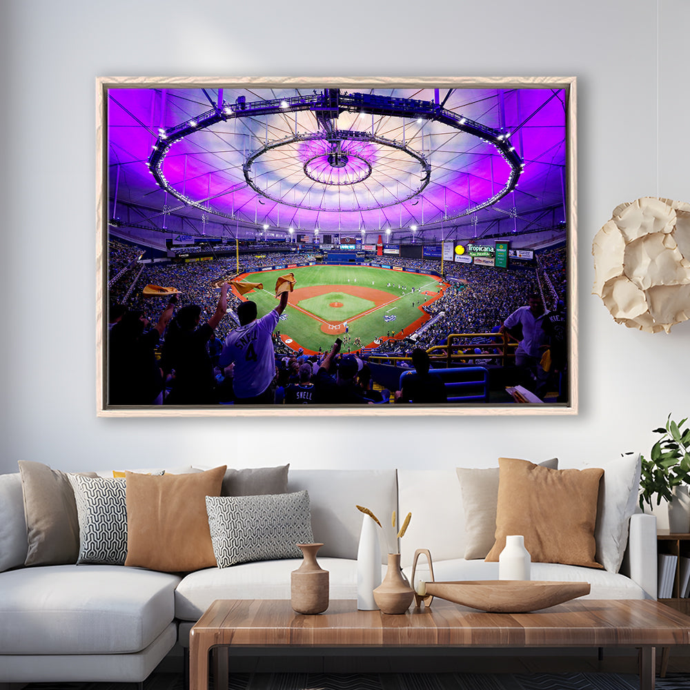 Tropicana Field in St Petersburg, Stadium Canvas, Sport Art, Framed Canvas Print Wall Art, Floating Frame