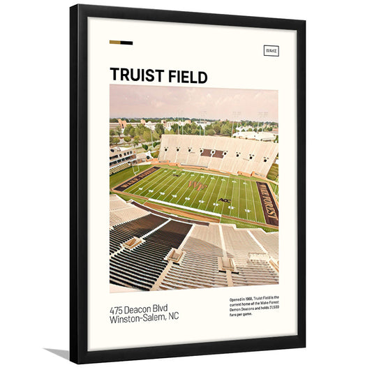 Truist Field Print, Wake Forest Demon Deacons Stadium Art, Gifts for him, Sport Art, Framed Art Print Wall Decor