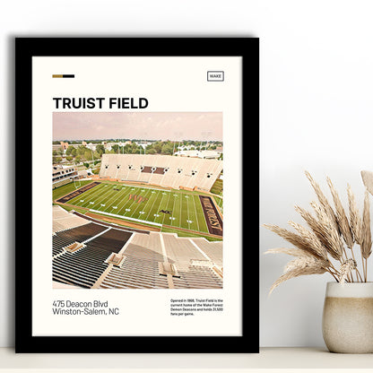 Truist Field Print, Wake Forest Demon Deacons Stadium Art, Gifts for him, Sport Art, Framed Art Print Wall Decor