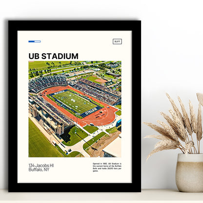 UB Stadium Print, Buffalo U Bulls Stadium Art, Gifts for him, Sport Art, Framed Art Print Wall Decor