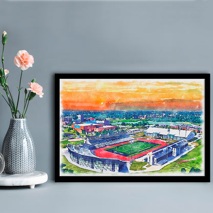 UB Painting Stadium Watercolor, Getzville New York Watercolor, Sport Gift Art, Framed Art Print Wall Decor