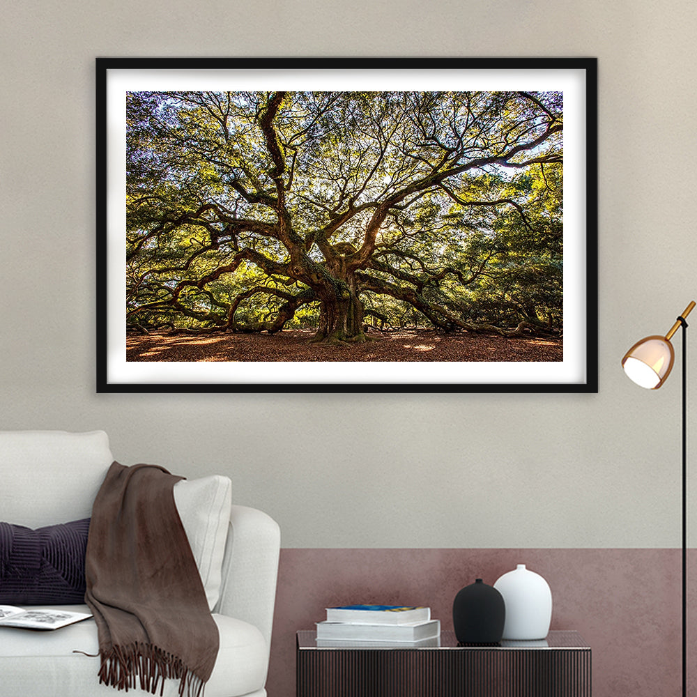 Usa South Carolina Charleston Angel Oak Large Stretched, Framed Art Print White Border