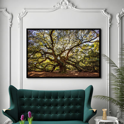 Usa South Carolina Charleston Angel Oak LargeArt Prints, Framed Art Print, Picture Framed