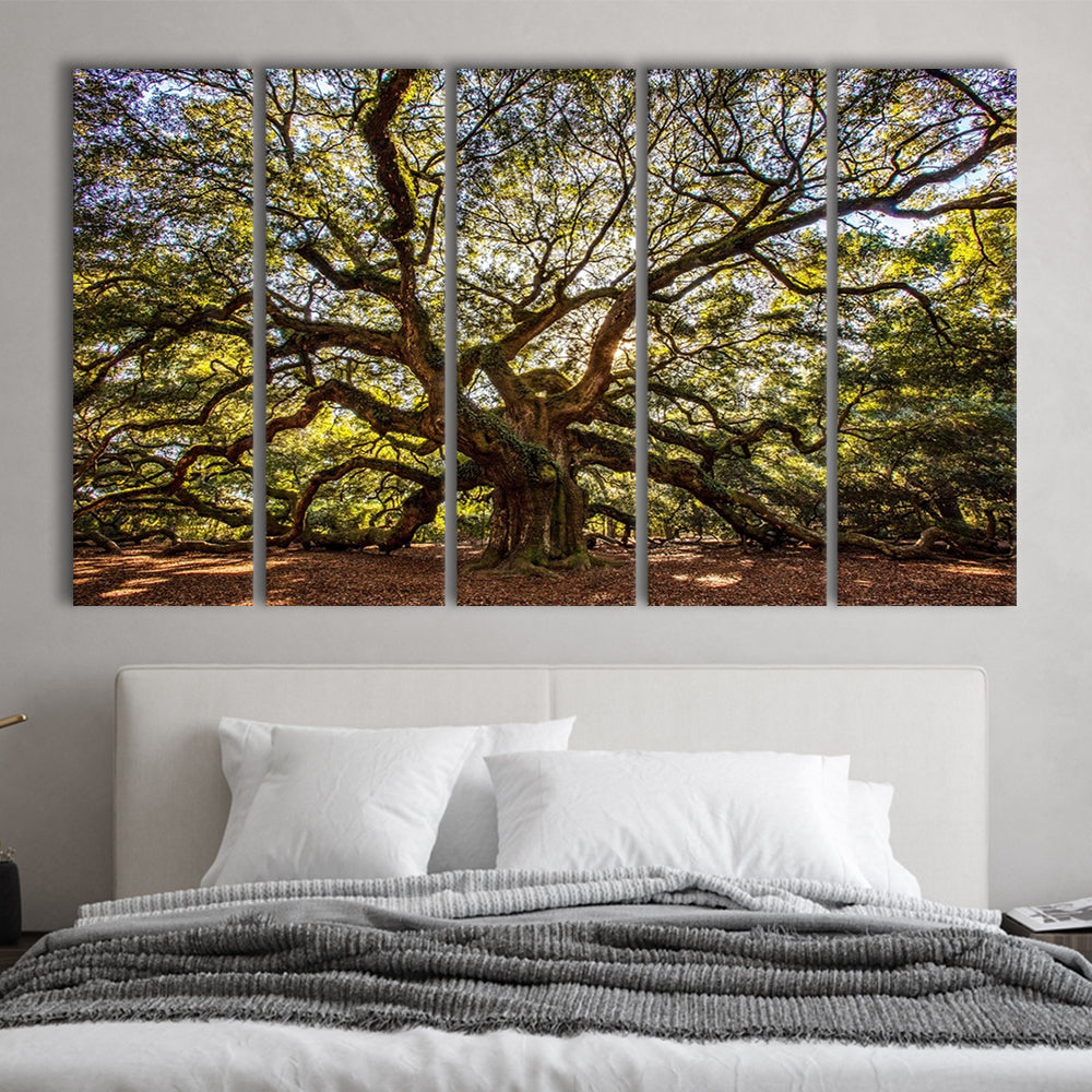 Usa South Carolina Charleston Angel Oak Large Stretched Canvas, 5 Piece B Extra Large Cavas Print Wall Art Decor