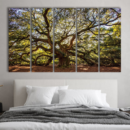 Usa South Carolina Charleston Angel Oak Large Stretched Canvas, 5 Piece B Extra Large Cavas Print Wall Art Decor