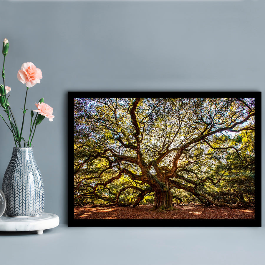 Usa South Carolina Charleston Angel Oak LargeArt Prints, Framed Art Print, Picture Framed