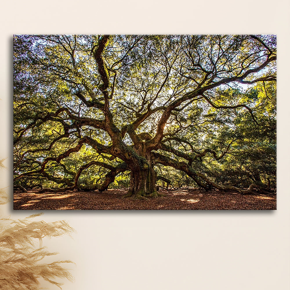 Usa South Carolina Charleston Angel Oak Large Stretched Canvas, Cavas Print Wall Art Hom Decor
