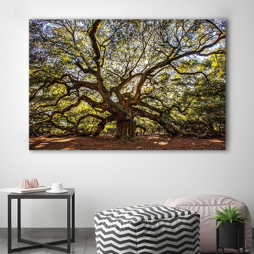 Usa South Carolina Charleston Angel Oak Large Stretched Canvas, Cavas Print Wall Art Hom Decor