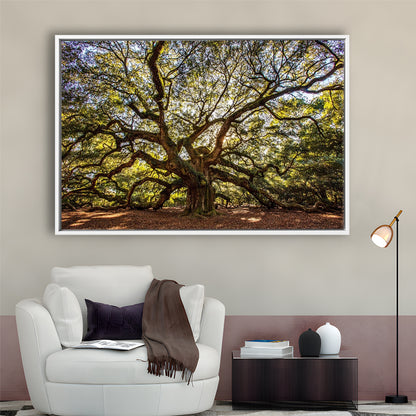 Usa South Carolina Charleston Angel Oak Large Stretched Canvas, Framed Cavas Print, Floating Frame