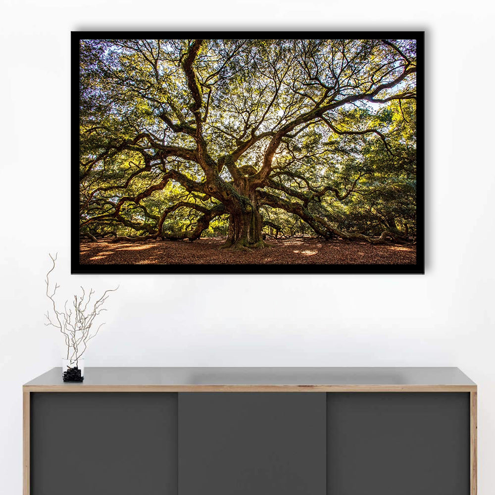 Usa South Carolina Charleston Angel Oak LargeArt Prints, Framed Art Print, Picture Framed