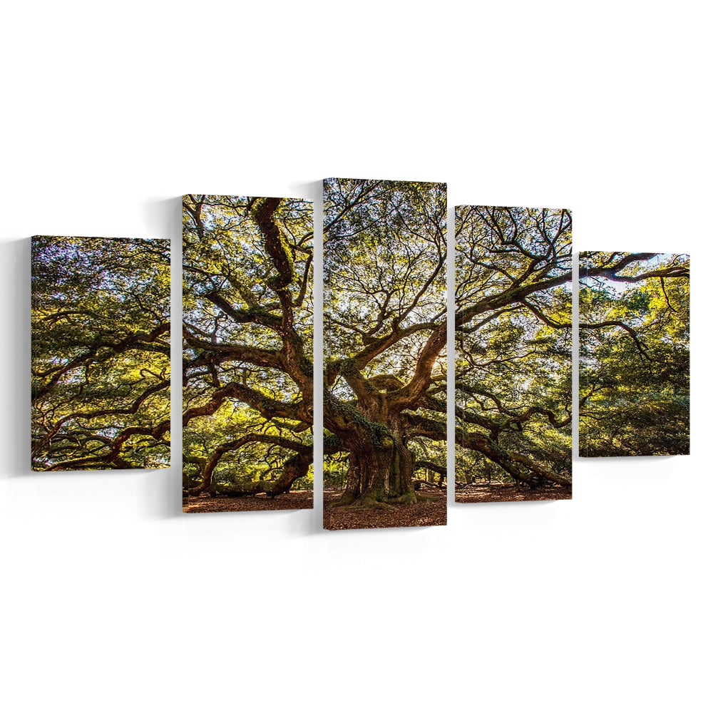Usa South Carolina Charleston Angel Oak Large Stretched Canvas, 5 Piece Large Cavas Print Wall Art