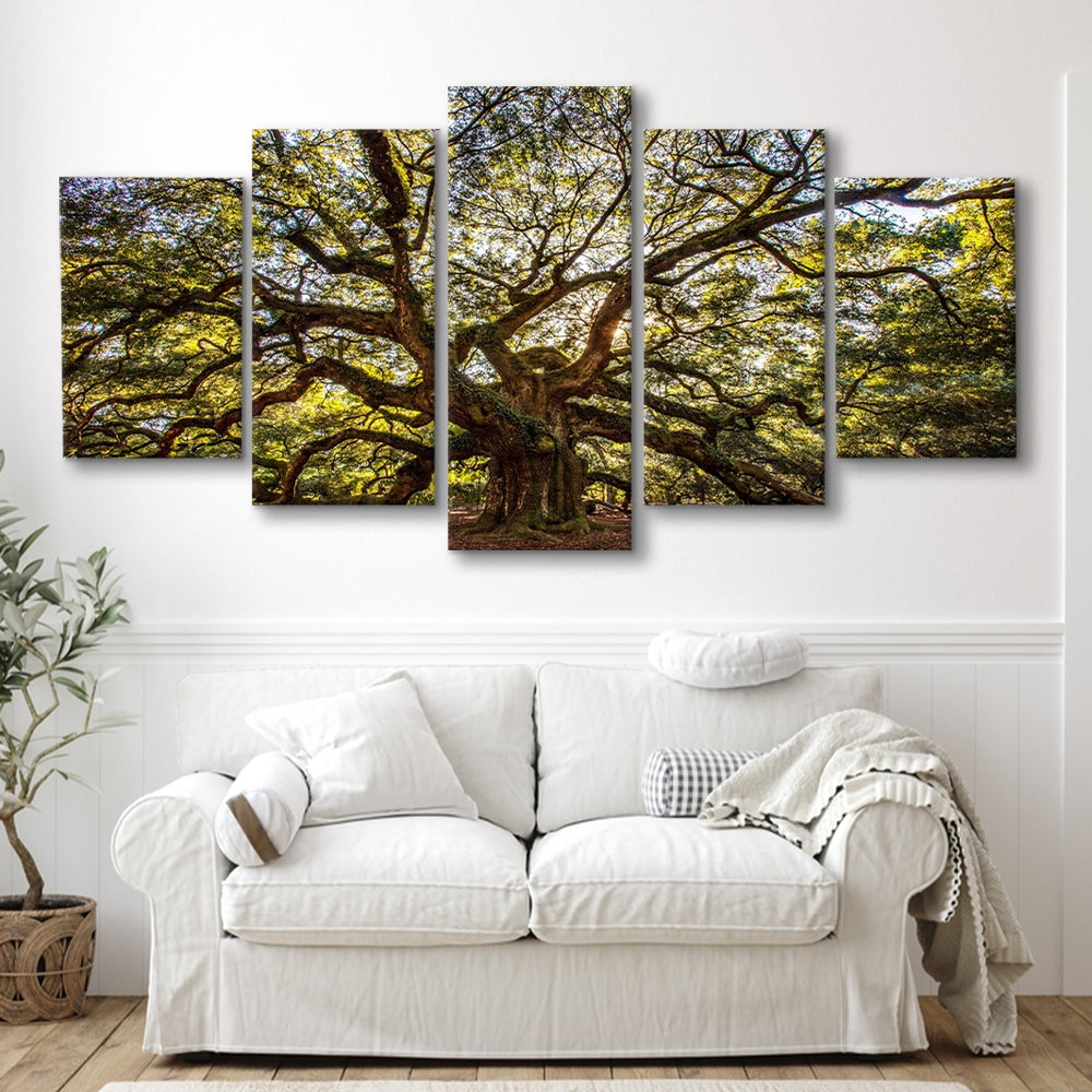 Usa South Carolina Charleston Angel Oak Large Stretched Canvas, 5 Piece Large Cavas Print Wall Art