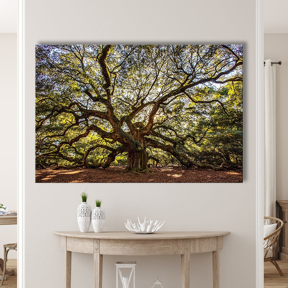 Usa South Carolina Charleston Angel Oak Large Stretched Canvas, Cavas Print Wall Art Hom Decor