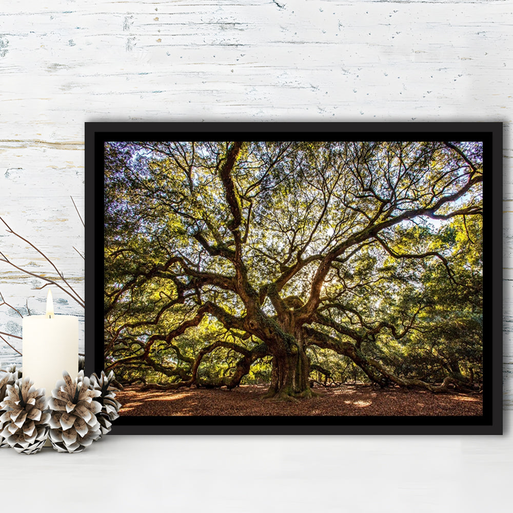 Usa South Carolina Charleston Angel Oak Large Stretched Canvas, Framed Cavas Print, Floating Frame