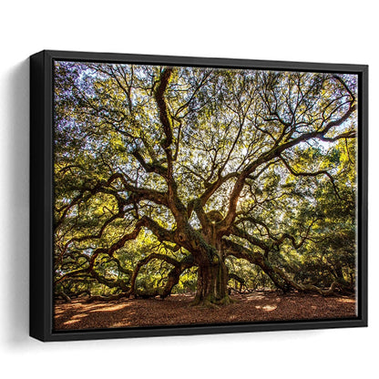 Usa South Carolina Charleston Angel Oak Large Stretched Canvas, Framed Cavas Print, Floating Frame
