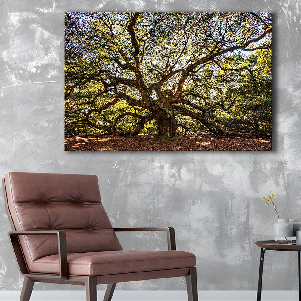 Usa South Carolina Charleston Angel Oak Large Stretched Canvas, Cavas Print Wall Art Hom Decor