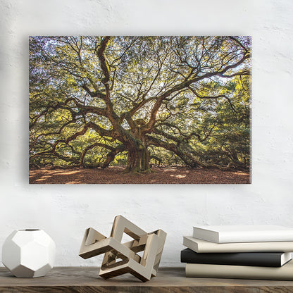 Usa South Carolina Charleston Angel Oak Large Stretched Canvas, Cavas Print Wall Art Hom Decor