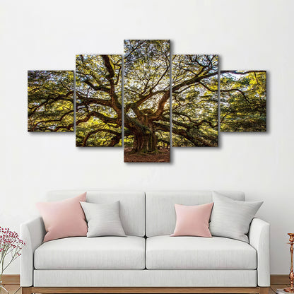 Usa South Carolina Charleston Angel Oak Large Stretched Canvas, 5 Piece Large Cavas Print Wall Art