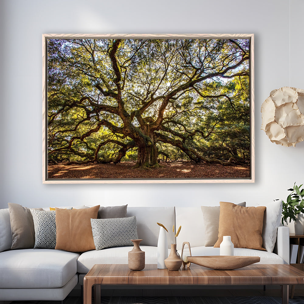 Usa South Carolina Charleston Angel Oak Large Stretched Canvas, Framed Cavas Print, Floating Frame