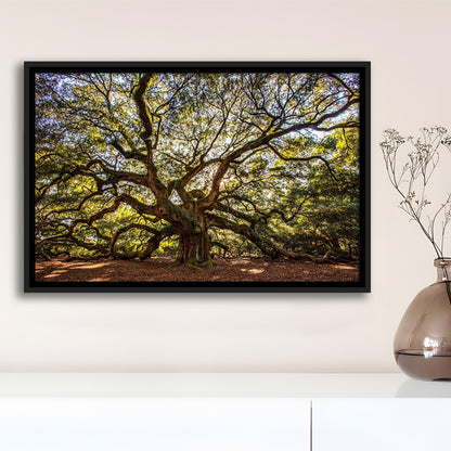 Usa South Carolina Charleston Angel Oak Large Stretched Canvas, Framed Cavas Print, Floating Frame
