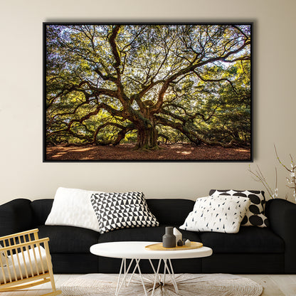 Usa South Carolina Charleston Angel Oak Large Stretched Canvas, Framed Cavas Print, Floating Frame