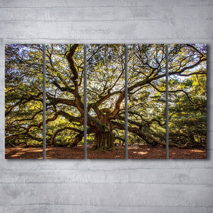 Usa South Carolina Charleston Angel Oak Large Stretched Canvas, 5 Piece B Extra Large Cavas Print Wall Art Decor