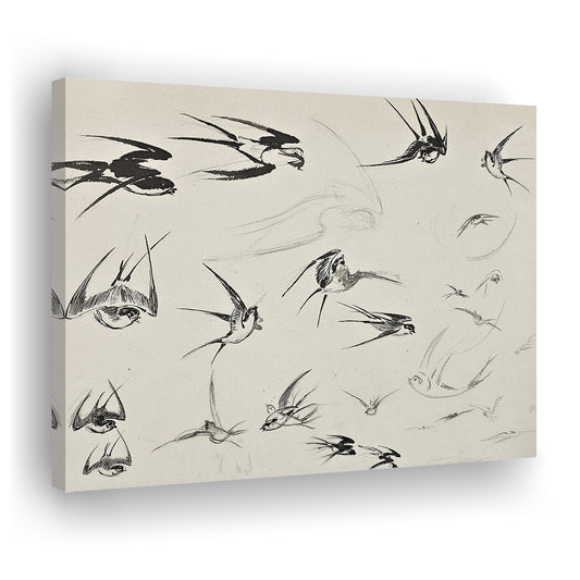 Vintage Bird Sketch Art Canvas Print Wall Art, Farmhouse Decor Nursery Decor, Ready to hang