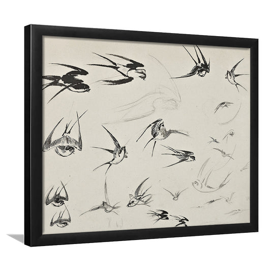 Vintage Bird Sketch Art Framed Art Print Wall Decor, Farmhouse Decor Nursery Decor, Ready to hang