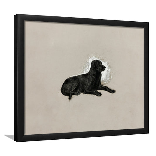 Vintage Black Labrador Dog Framed Art Print Wall Decor, Antique Dog Painting Portrait Sketch Farmhouse Decor