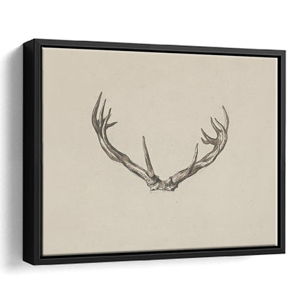 Vintage Deer Antlers Sketch Prints Framed Canvas Print Wall Art, Holiday Print, Ready to hang