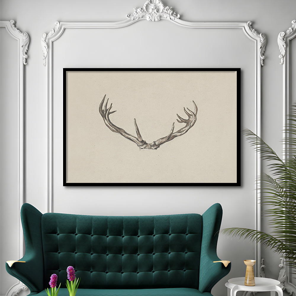 Vintage Deer Antlers Sketch Prints Framed Art Print Wall Decor, Holiday Print, Ready to hang