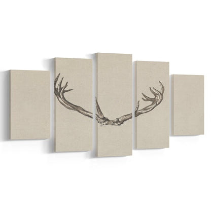 Vintage Deer Antlers Sketch Prints Mixed Canvas Print Wall Art, Holiday Print, Ready to hang