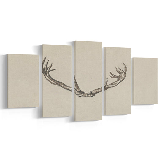 Vintage Deer Antlers Sketch Prints Mixed Canvas Print Wall Art, Holiday Print, Ready to hang