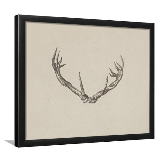 Vintage Deer Antlers Sketch Prints Framed Art Print Wall Decor, Holiday Print, Ready to hang